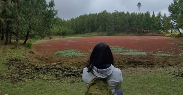 LAGUNA ROJA SAN VALENTIN